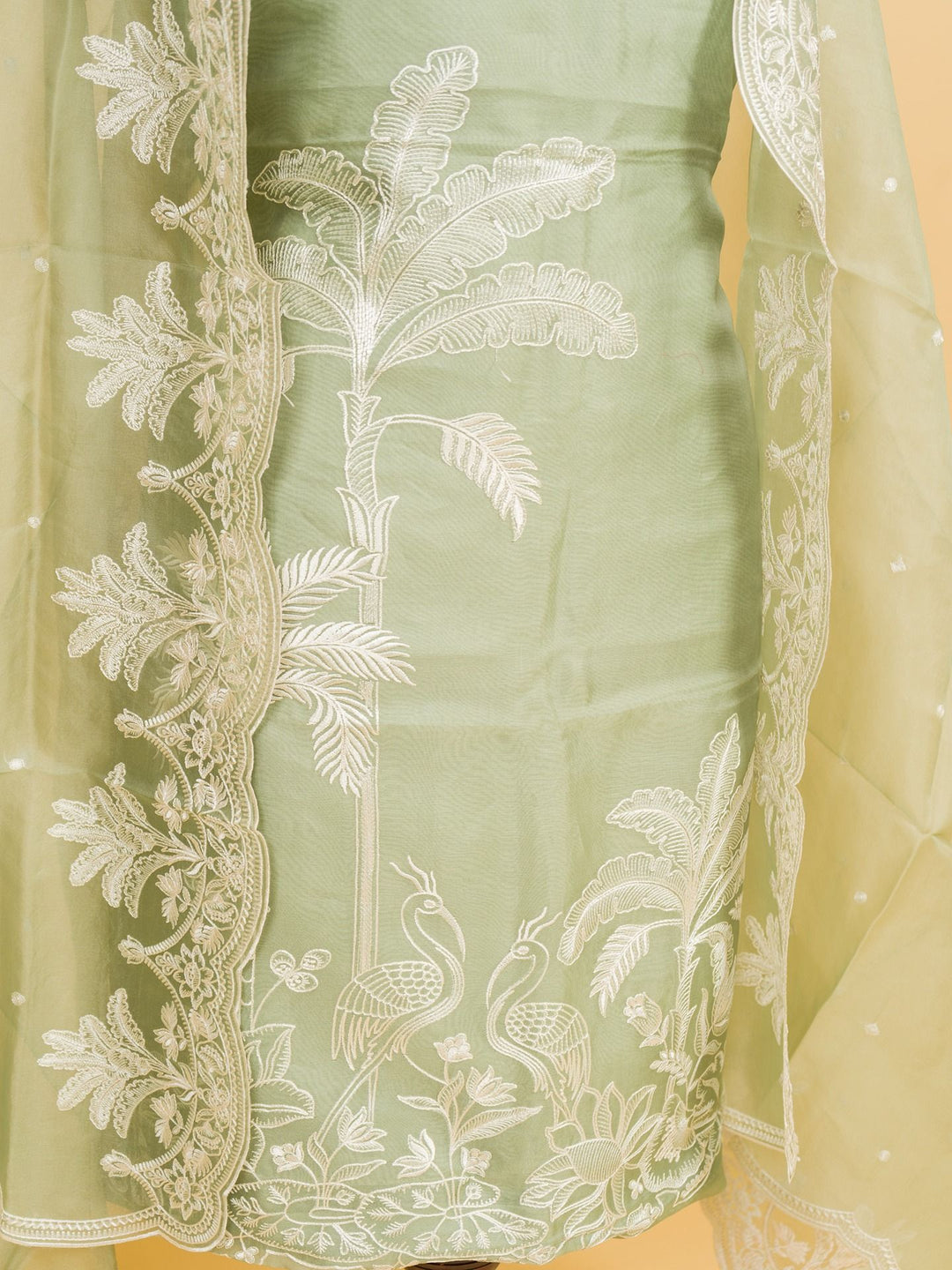 Organza Suit Piece with machine emberiory in Pastel Green