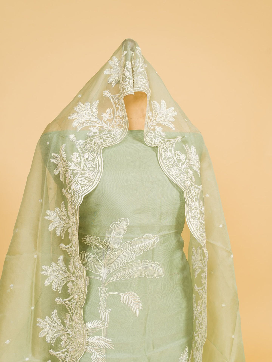 Organza Suit Piece with machine emberiory in Pastel Green