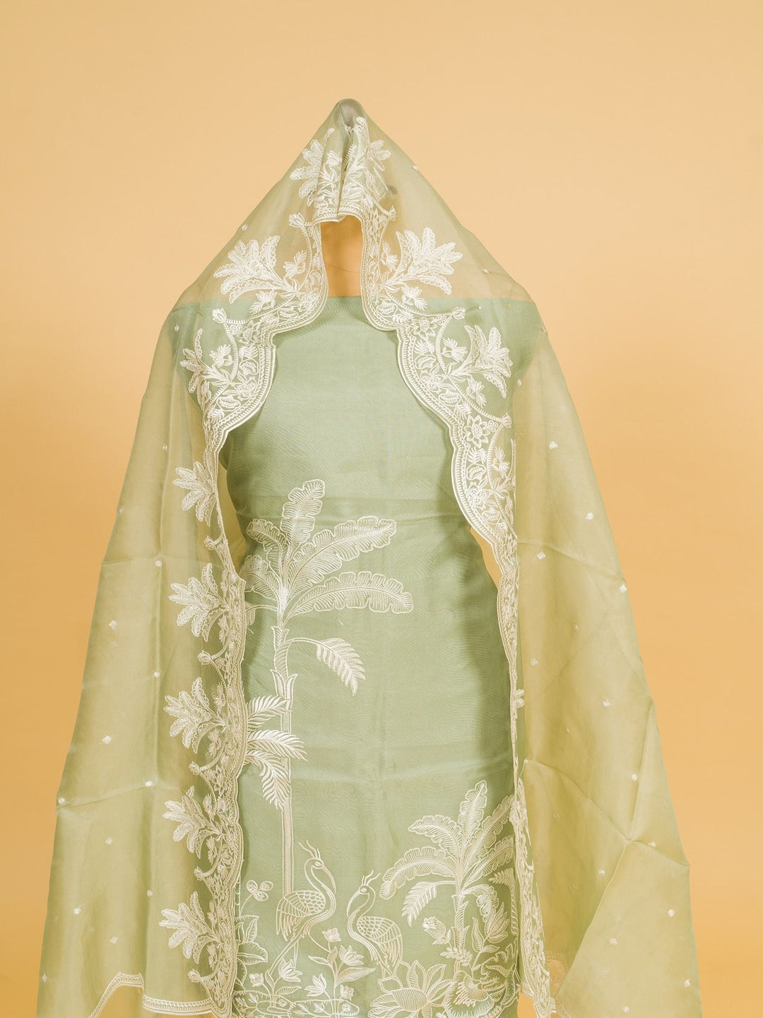 Organza Suit Piece with machine emberiory in Pastel Green