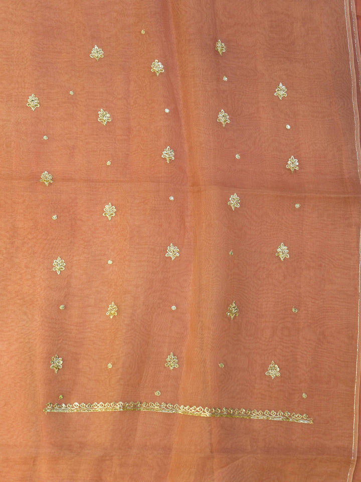 Printed Organza Suit Piece With Zardosi Handwork in Light Brown
